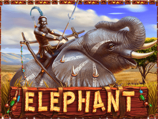 Elephant game cover
